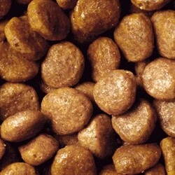 Pro Plan Somonlu Yetişkin Kedi Maması 1.5 kg - 2