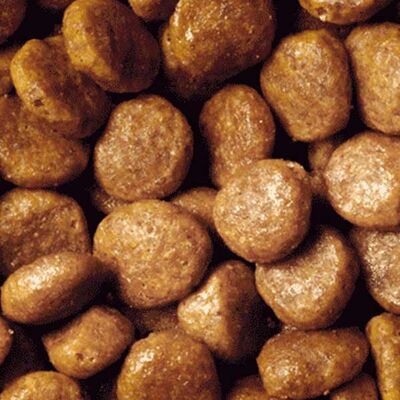Pro Plan Somonlu Yetişkin Kedi Maması 3 kg - 2