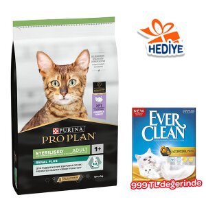 Pro Plan Sterilised Hindili Kısırlaştırılmış Yetişkin Kedi Maması 10 kg