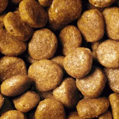 Pro Plan Tavuklu Yetişkin Kedi Maması 1.5 kg - 3