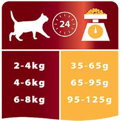 Pro Plan Tavuklu Yetişkin Kedi Maması 1.5 kg - 5