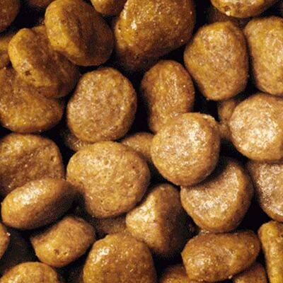 Pro Plan Tavuklu Yetişkin Kedi Maması 3 kg - 2