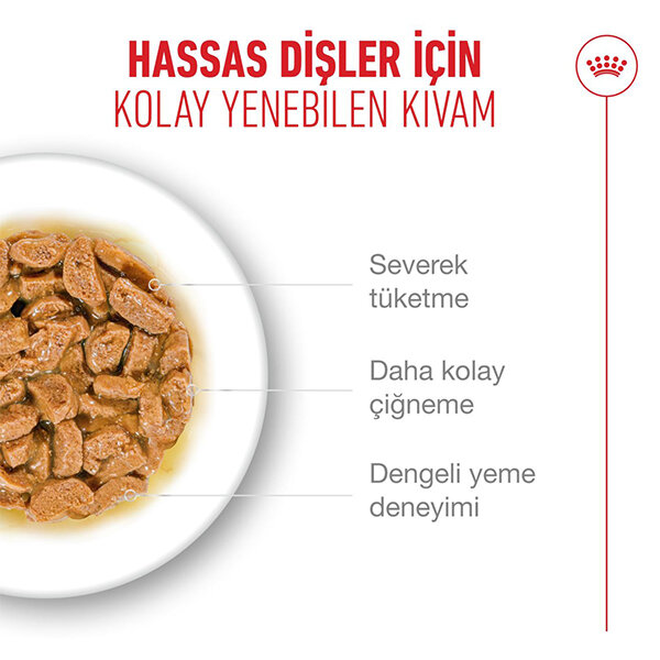Royal Canin Ageing +11  Yaş Kedi Maması 85 gr * 12 Adet - 2