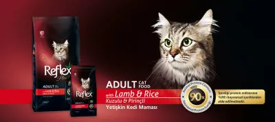 Reflex Plus Kuzu Etli Kedi Maması 15 KG - 3
