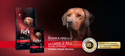 Reflex Plus Kuzulu & Pirinçli Yaşlı Köpek Maması 15 KG - 3