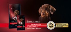 Reflex Plus Kuzulu & Pirinçli Yavru Köpek Maması 15 KG - 3