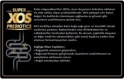 Reflex Plus Somon Balıklı Köpek Maması 15 KG - 2