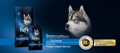 Reflex Plus Somon Balıklı Köpek Maması 15 KG - 3