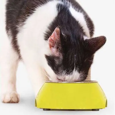 Reflex Plus Tavuk ve Hindili Pate Yetişkin Kedi Konservesi 100 GR - 3