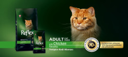 Reflex Plus Tavuklu Yetişkin Kedi Maması 15 kg - 3