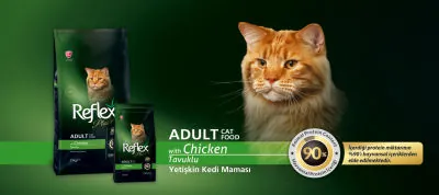 Reflex Plus Tavuklu Kedi Maması 15 KG - 3