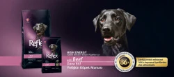 Reflex Plus High Energy Biftekli Köpek Maması 15 KG - 2