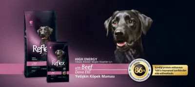 Reflex Plus High Energy Biftekli Köpek Maması 15 KG - 2