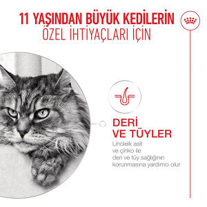 Royal Canin Ageing 11+ Yaş Üzeri Yaşlı Kedi Maması 2kg - 3
