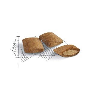 Royal Canin Ageing +12 Kedi Maması 2 KG - 3