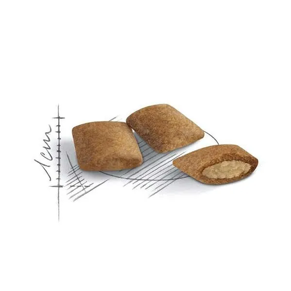 Royal Canin Ageing +12 Kedi Maması 2 KG - 3