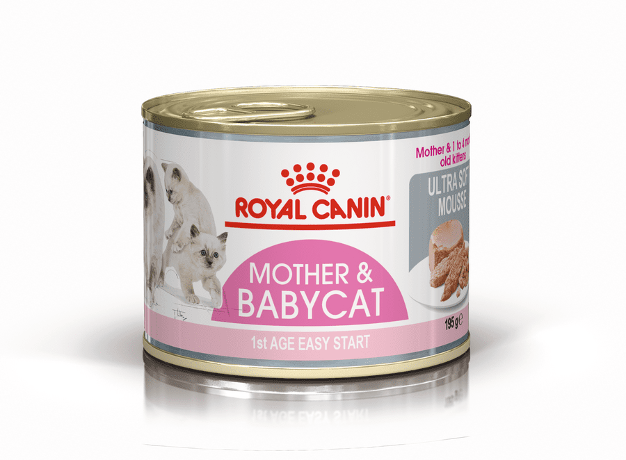 Royal Canin BabyCat Instinctive Yavru Kedi Maması 195 Gr - 1