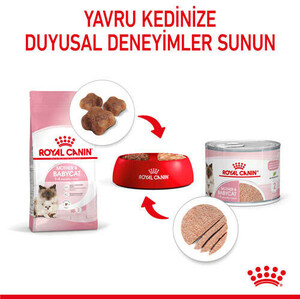 Royal Canin BabyCat Instinctive Yavru Kedi Maması 195 Gr - 6