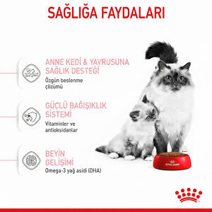 Royal Canin Babycat Yavru Kedi Maması 4 KG - 4