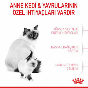 Royal Canin Babycat Yavru Kedi Maması 4 KG - 5