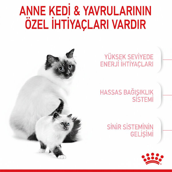 Royal Canin Babycat Yavru Kedi Maması 4 KG - 5