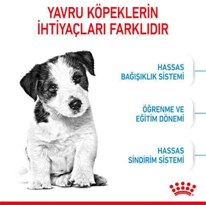 Royal Canin Box Mini Puppy Yavru Köpek Maması 2 Kg + 2 Adet Mini Puppy Yaş Mama Hediyeli - 3