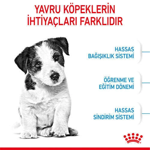 Royal Canin Box Mini Puppy Yavru Köpek Maması 2 Kg + 2 Adet Mini Puppy Yaş Mama Hediyeli - 3