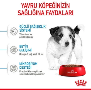 Royal Canin Box Mini Puppy Yavru Köpek Maması 2 Kg + 2 Adet Mini Puppy Yaş Mama Hediyeli - 4