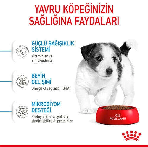 Royal Canin Box Mini Puppy Yavru Köpek Maması 2 Kg + 2 Adet Mini Puppy Yaş Mama Hediyeli - 4