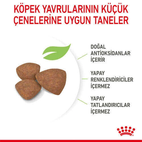 Royal Canin Box Mini Puppy Yavru Köpek Maması 2 Kg + 2 Adet Mini Puppy Yaş Mama Hediyeli - 5