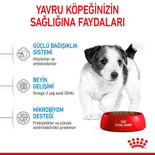Royal Canin Box Mini Puppy Yavru Köpek Maması 2 Kg + 2 Adet Mini Puppy Yaş Mama Hediyeli - 4