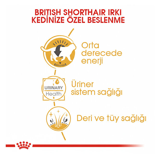 Royal Canin British Shorthair Yaş Kedi Maması 85 GR * 12 ADET - 2