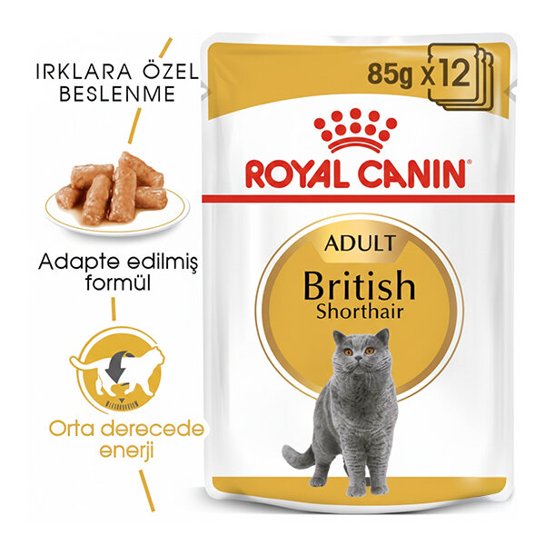 Royal Canin British Shorthair Yaş Kedi Maması 85 GR * 12 ADET - 1