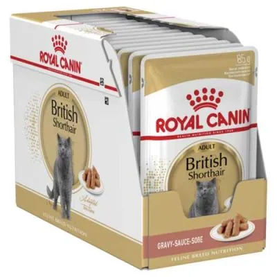 Royal Canin British Shorthair Yaş Kedi Maması 85 GR * 12 ADET - 2