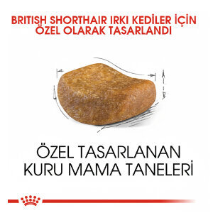 Royal Canin British Shorthair Kedi Maması 10 KG - 3