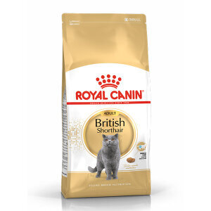 Royal Canin British Shorthair Kedi Maması 10 KG - 7