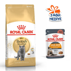 Royal Canin British Shorthair Kedi Maması 10 KG