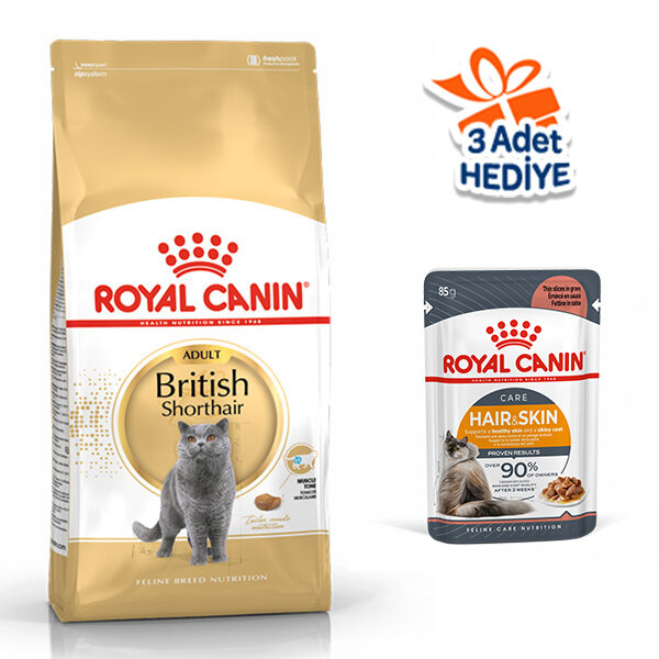 Royal Canin British Shorthair Kedi Maması 10 KG - 1