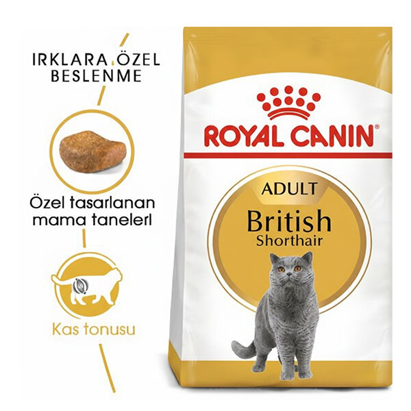 Royal Canin British Shorthair Kedi Maması 2 KG - 1