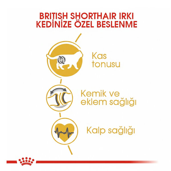 Royal Canin British Shorthair Kedi Maması 2 KG - 3