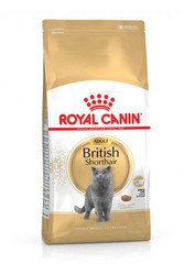 Royal Canin British Shorthair Kedi Maması 4 KG - 2