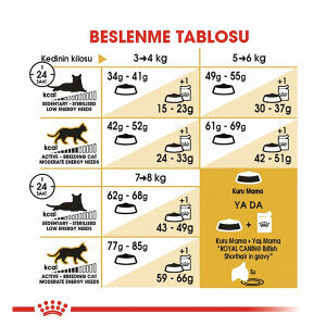 Royal Canin British Shorthair Kedi Maması 4 KG - 4