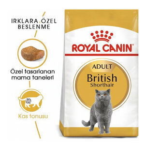 Royal Canin British Shorthair Kedi Maması 4 KG