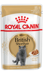 Royal Canin British Shorthair Yaş Kedi Maması 85 GR