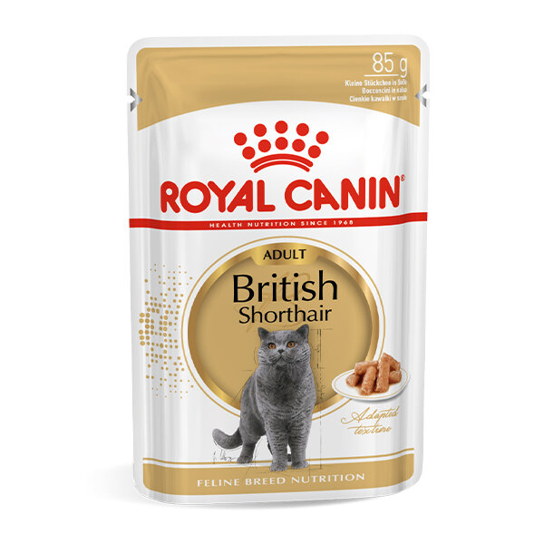 Royal Canin British Shorthair Yaş Kedi Maması 85 GR - 4