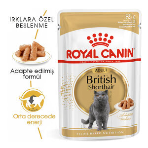 Royal Canin British Shorthair Yaş Kedi Maması 85 GR