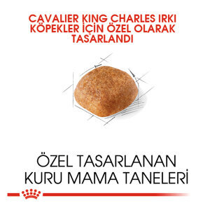Royal Canin Cavalier King Charles Köpek Maması 3 KG - 2