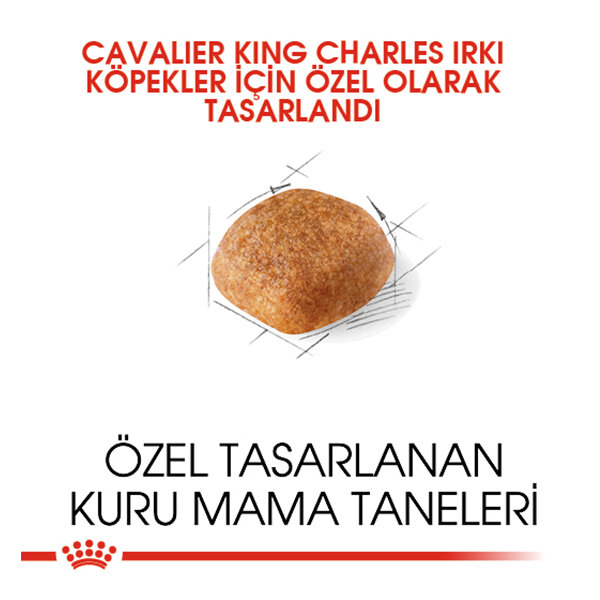 Royal Canin Cavalier King Charles Köpek Maması 3 KG - 2