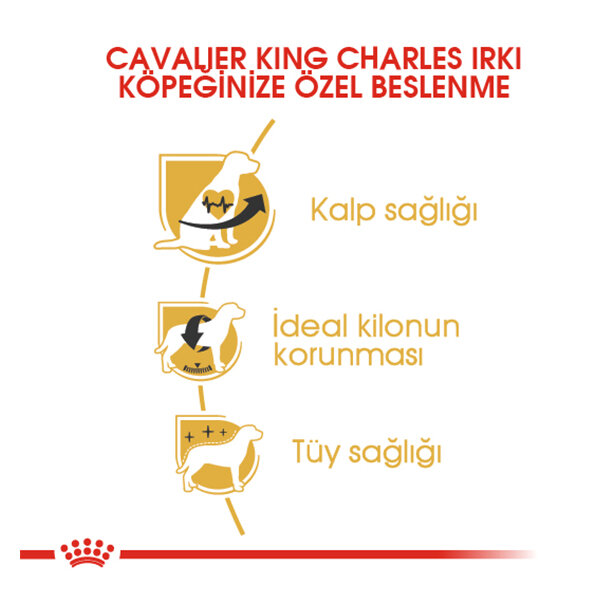 Royal Canin Cavalier King Charles Köpek Maması 3 KG - 3