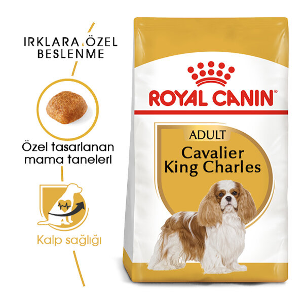 Royal Canin Cavalier King Charles Köpek Maması 3 KG - 1